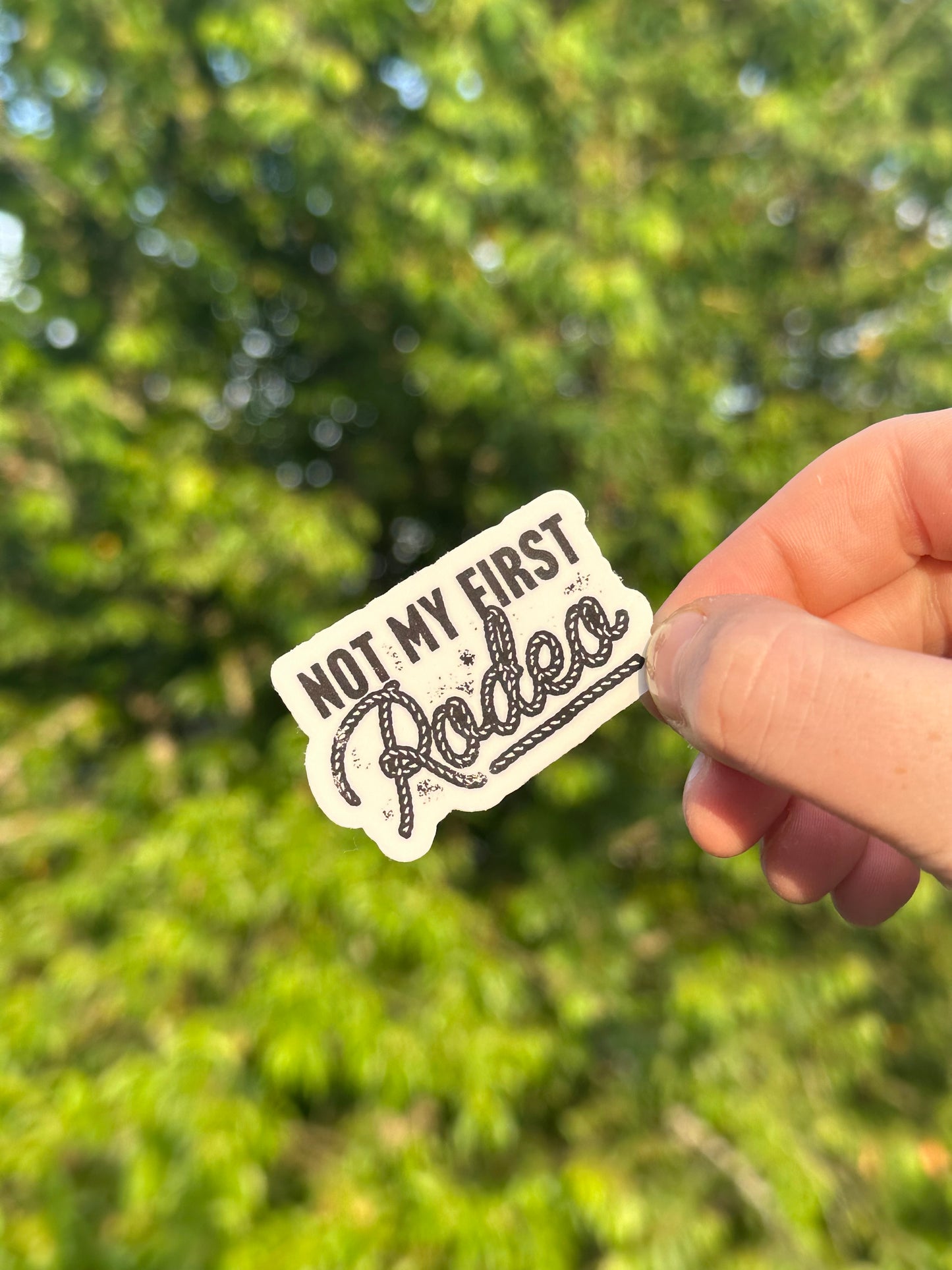 Not my first rodeo sticker