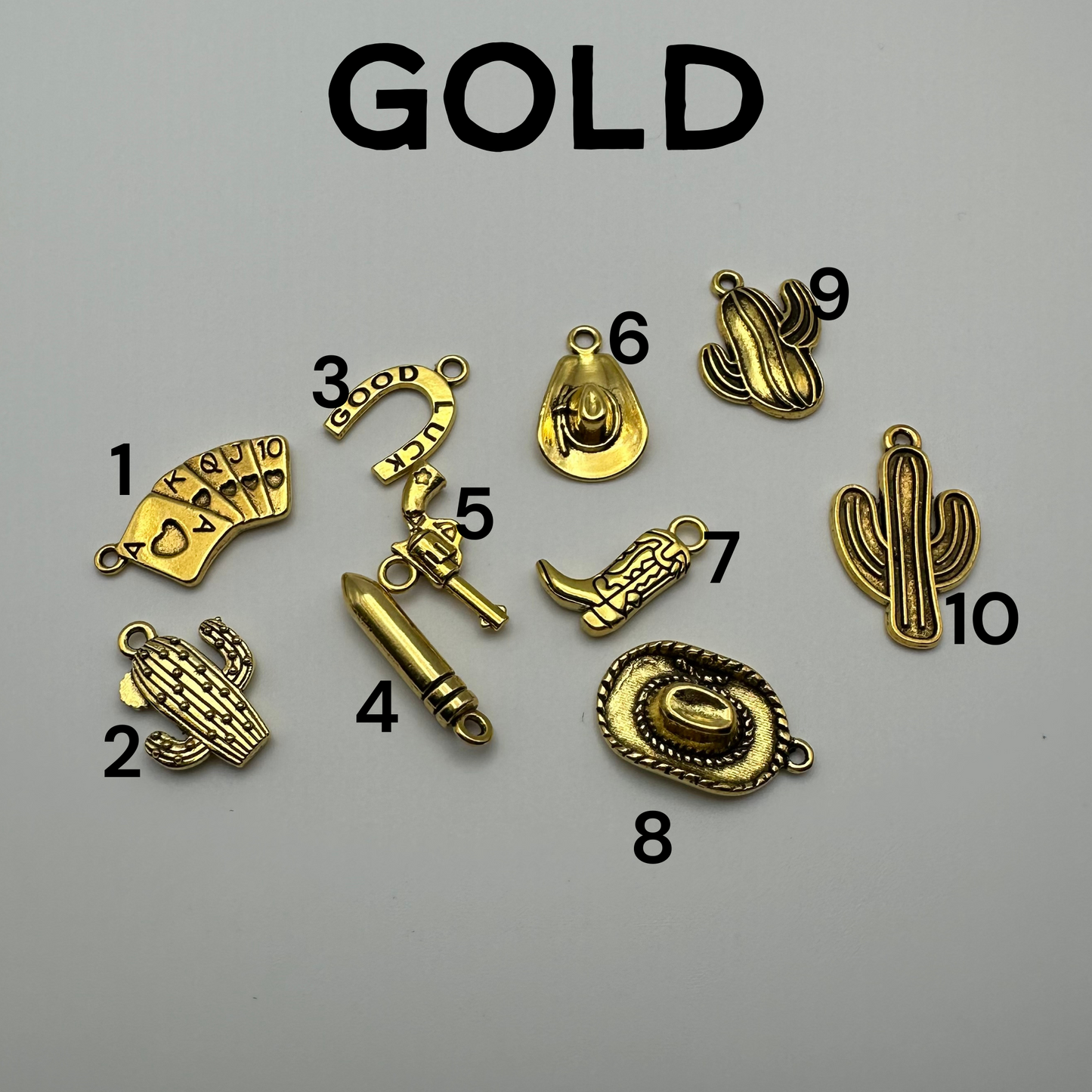 Western Themed Customized Dust Plugs | Western dust plug USB C + Lighting